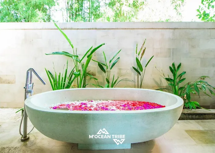 Villa Ocean View Family Wellness Mocean Tribe