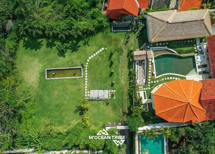 Ocean View Family Wellness Mocean Tribe Villa *